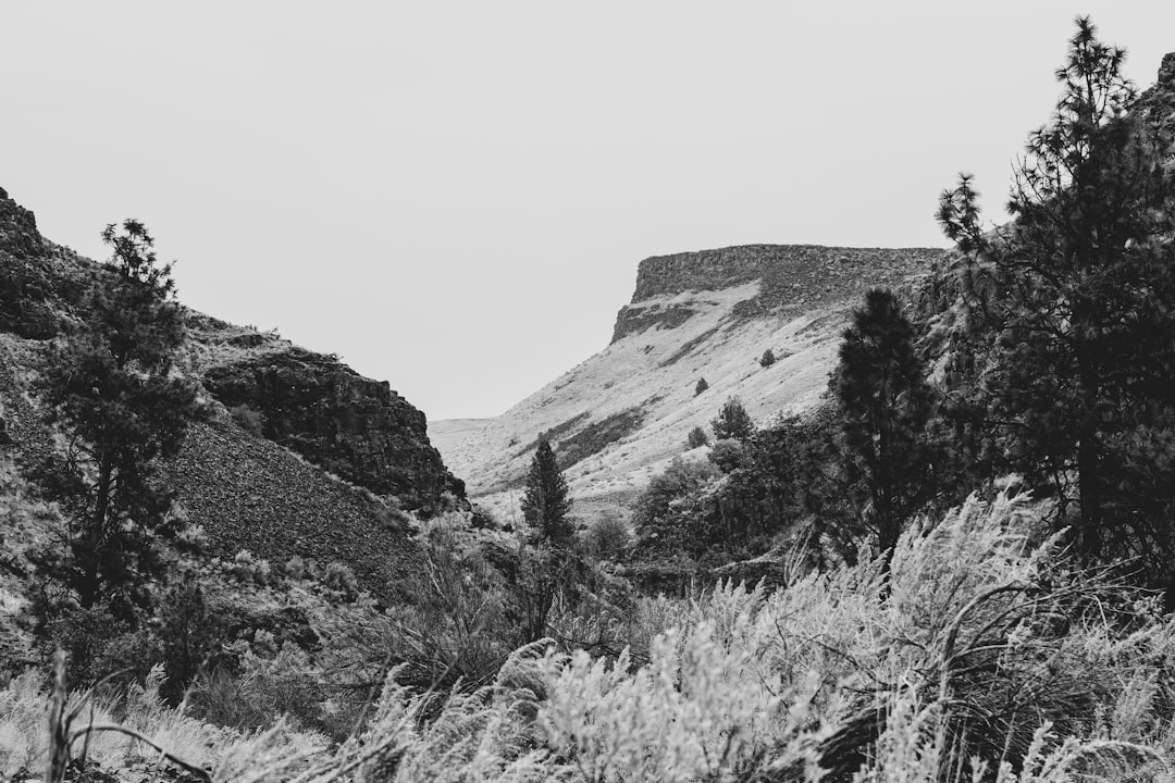 Weekend Dental Spanish Springs area view